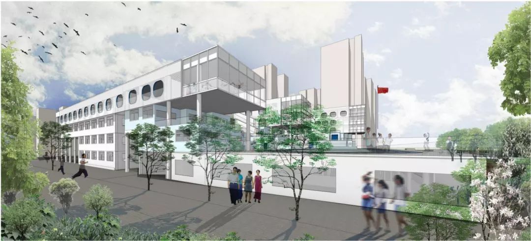 福强小学实际排名,福强小学最新消息