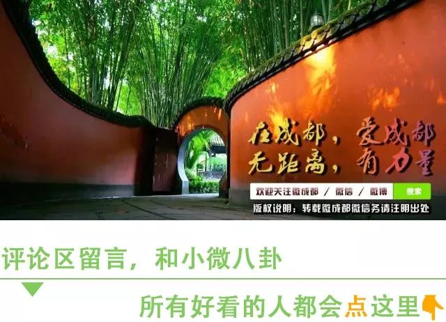 成都最好的素食火锅,成都火锅素食哪家好吃