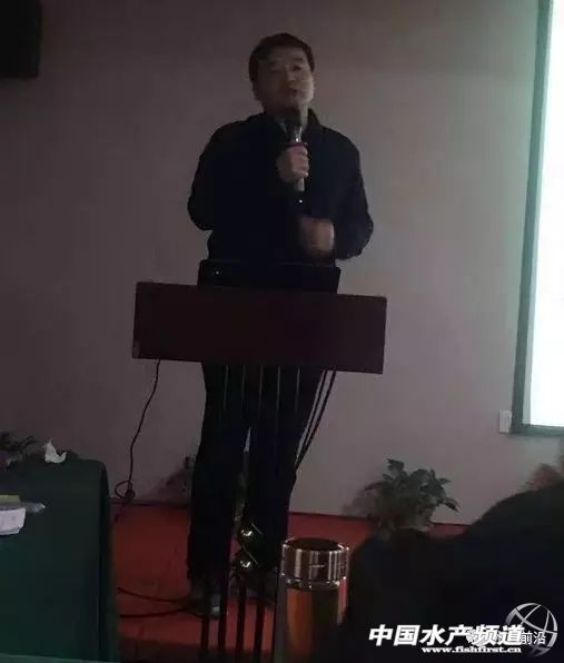 2023泥鳅塘头价格,今日泥鳅塘头最新价格