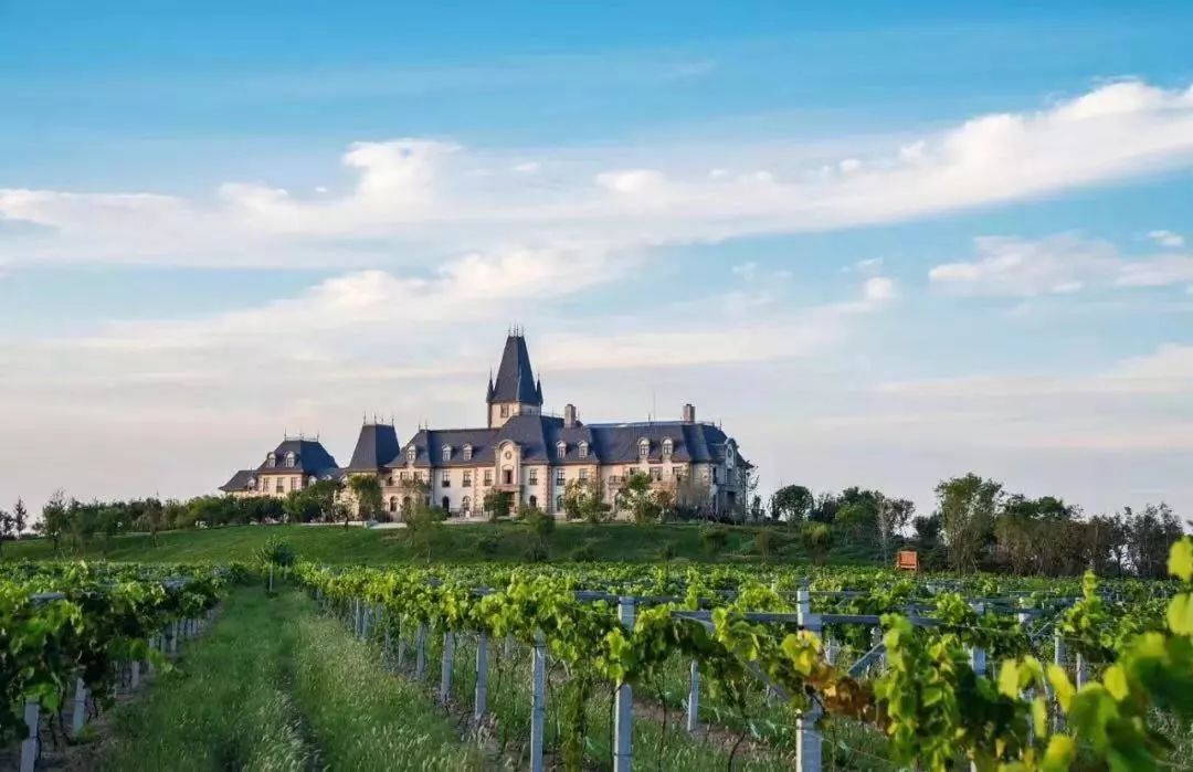 希尔顿酒店景点,希尔顿酒店附近游玩攻略