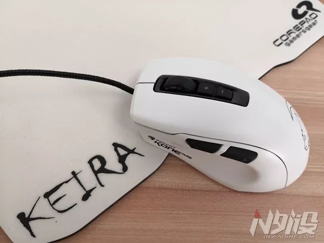 白冰豹子,黑冰和白冰视频