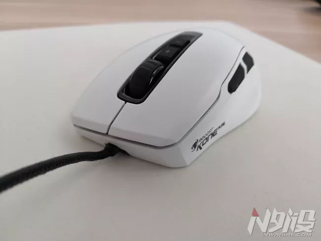 白冰豹子,黑冰和白冰视频