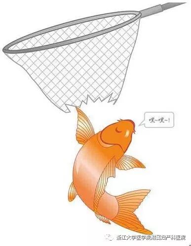 感冒为什么咳嗽能自愈呢,同样感冒为什么我比别人严重