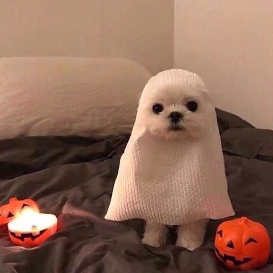 2022年大牌热卖护肤品,有什么无限回购的大牌护肤品