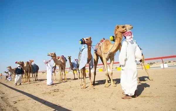 比迪拜都有钱的国家,比迪拜有钱的是哪个国家