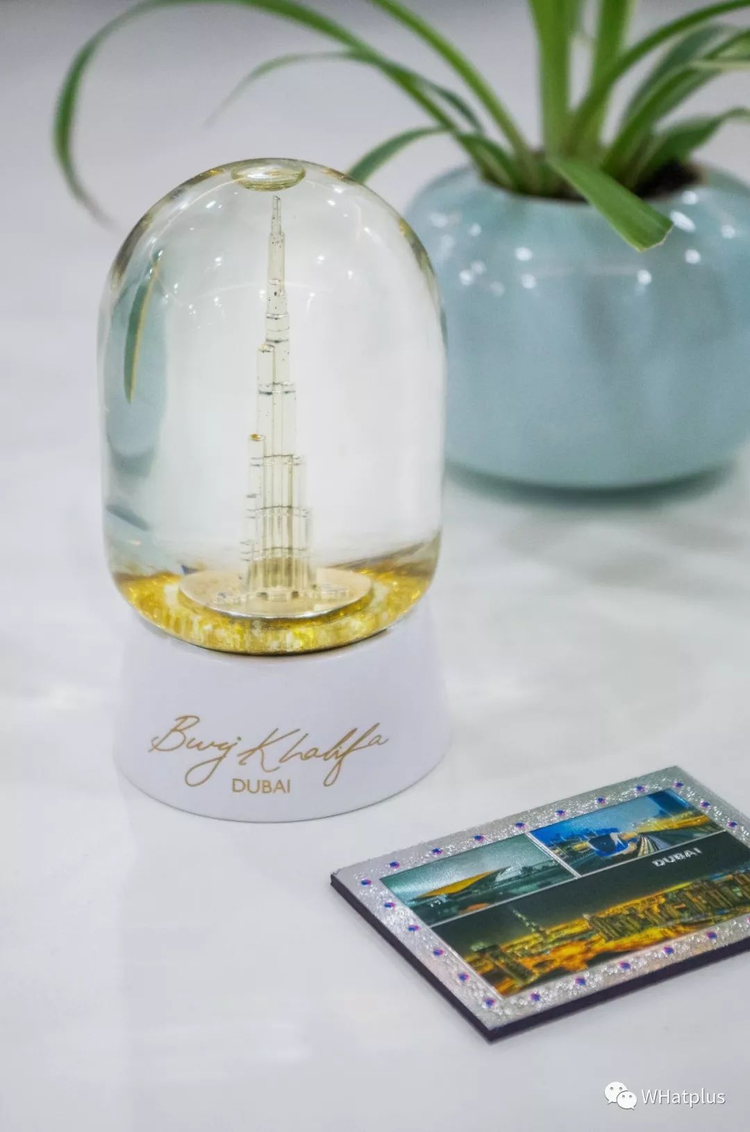 寄出维密、TT、迪拜塔的人，都交换到什么？