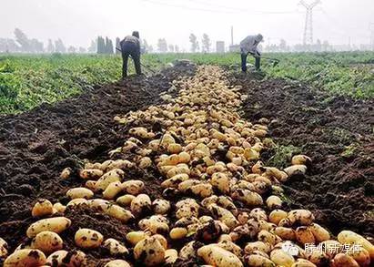 邹城在哪个省的什么位置,邹城属于哪一个省