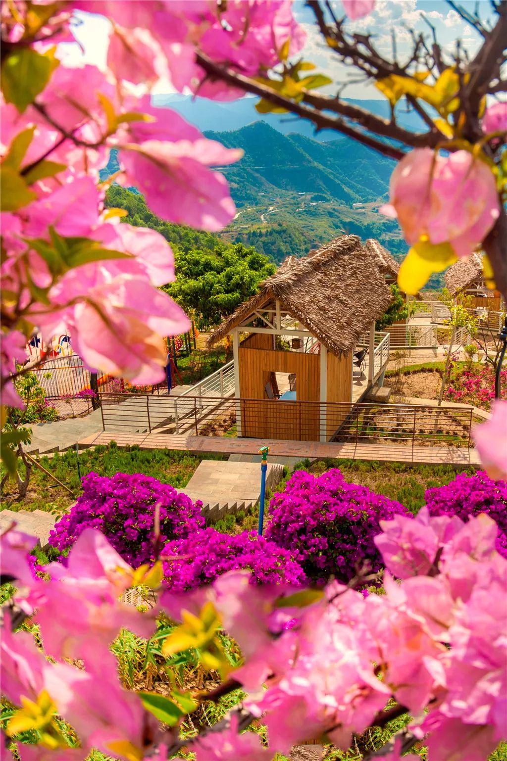 攀枝花旅游攻略自由行最佳路线 (自驾去攀枝花可以经过什么风景区)