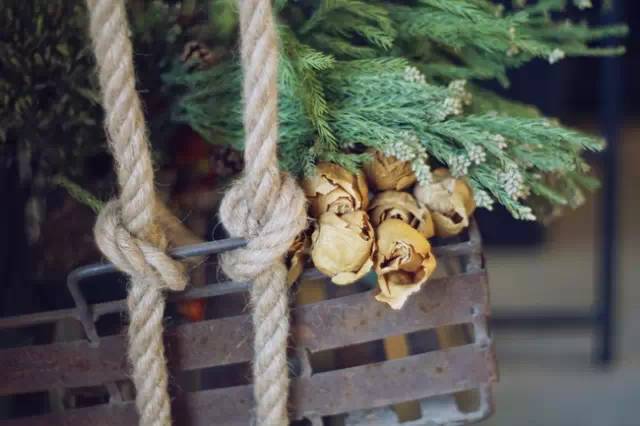 北京才女徐静蕾,徐静蕾李亚鹏北京台