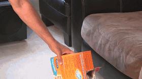 快速清理卫生间马桶异味,卫生间马桶倒什么水马桶没有异味