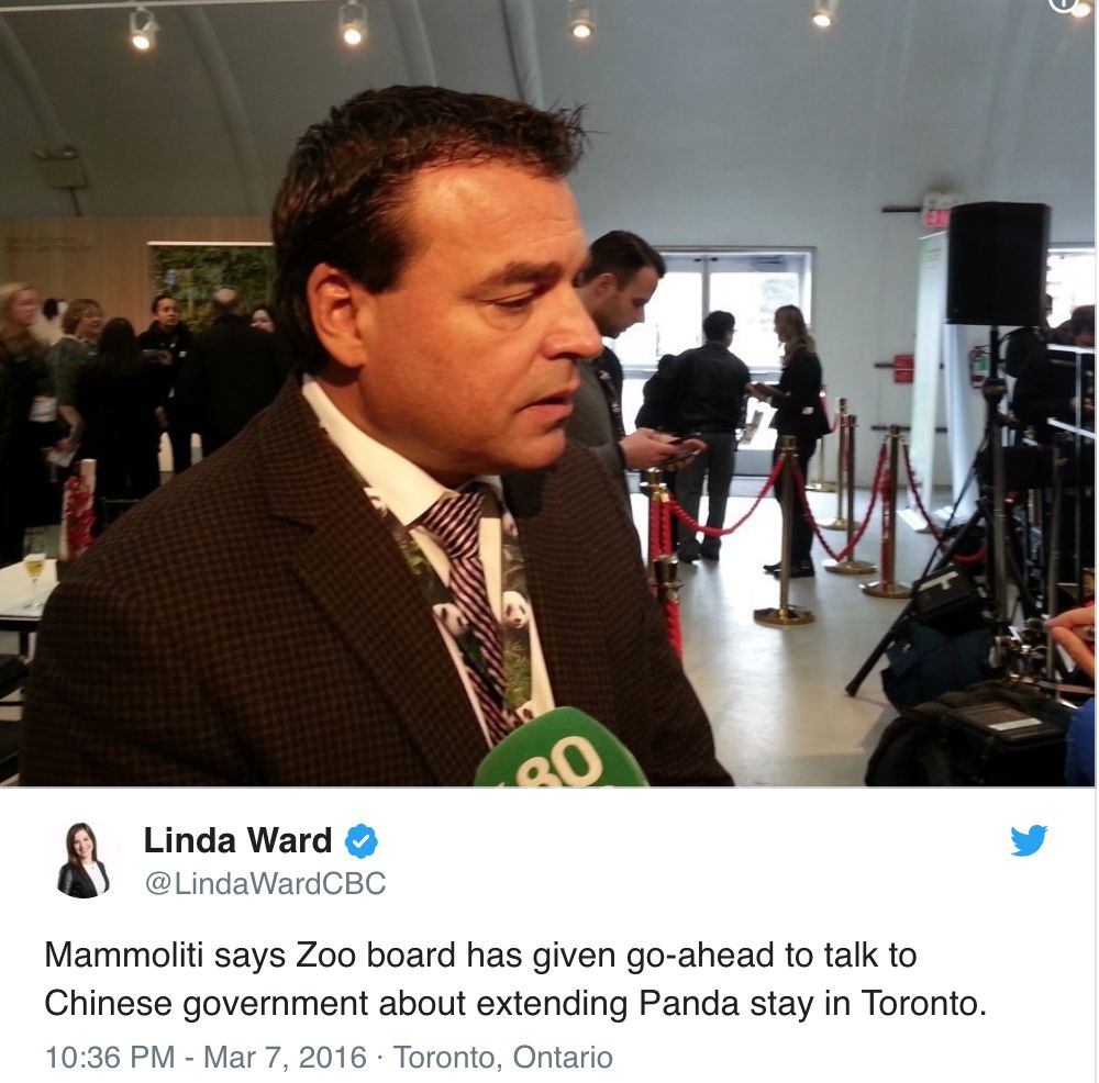 老外到底多喜欢熊猫,老外看中国大熊猫