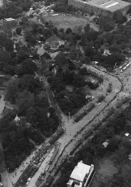 老外多爱猫咪,老外多爱中国