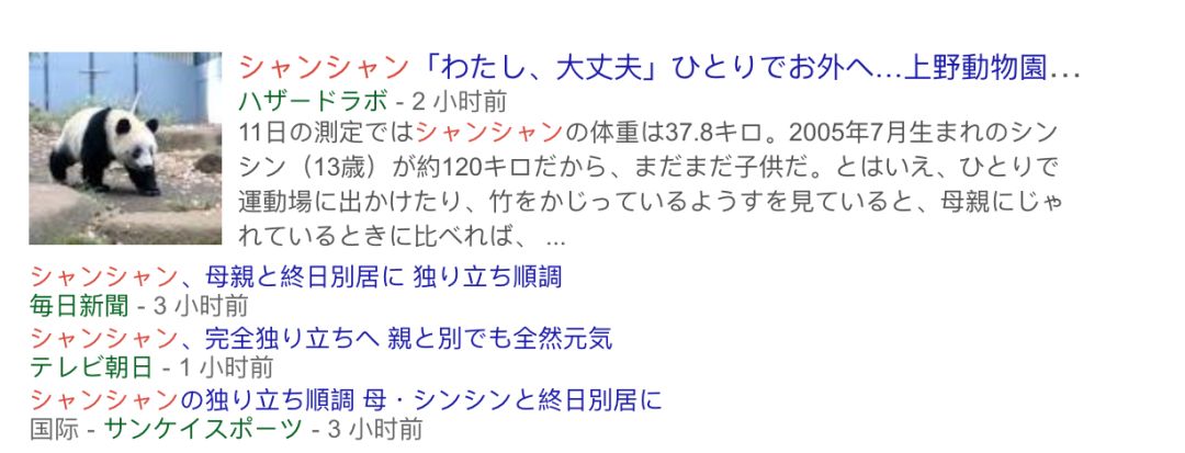 老外到底多喜欢熊猫,老外看中国大熊猫