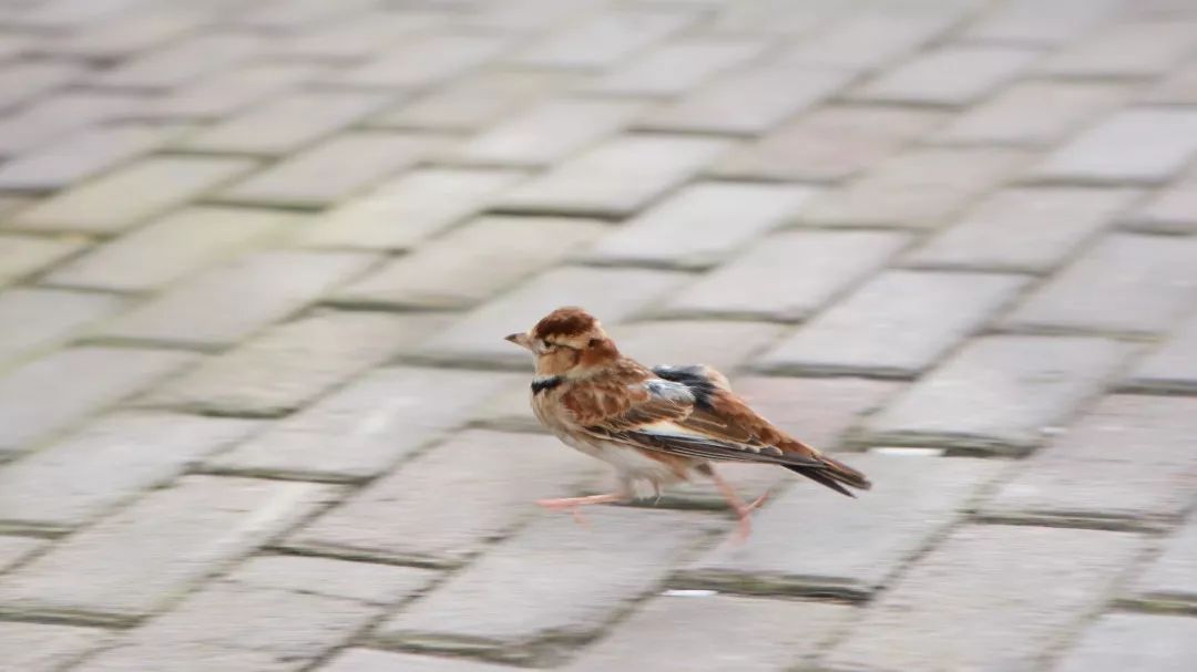 最美的风景在路上在心里,最美的风景在心里也在路上