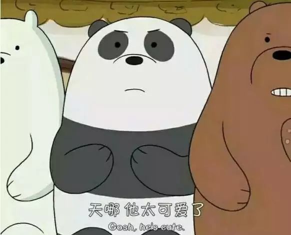 老外多爱猫咪,老外多爱中国