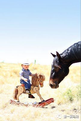 鬼马系列写真,马写真高清图片大全