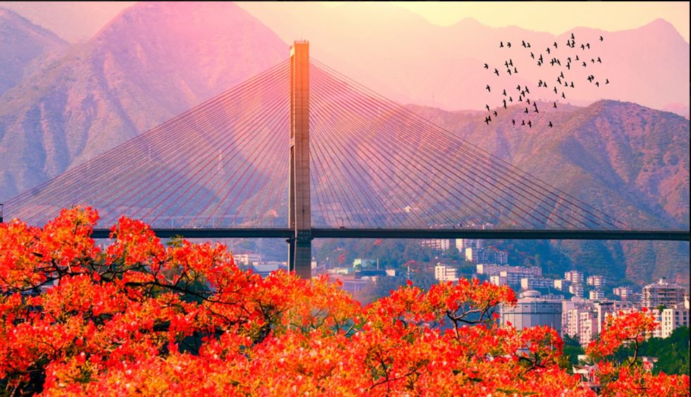 印象｜有了攀枝花，何必去天涯？