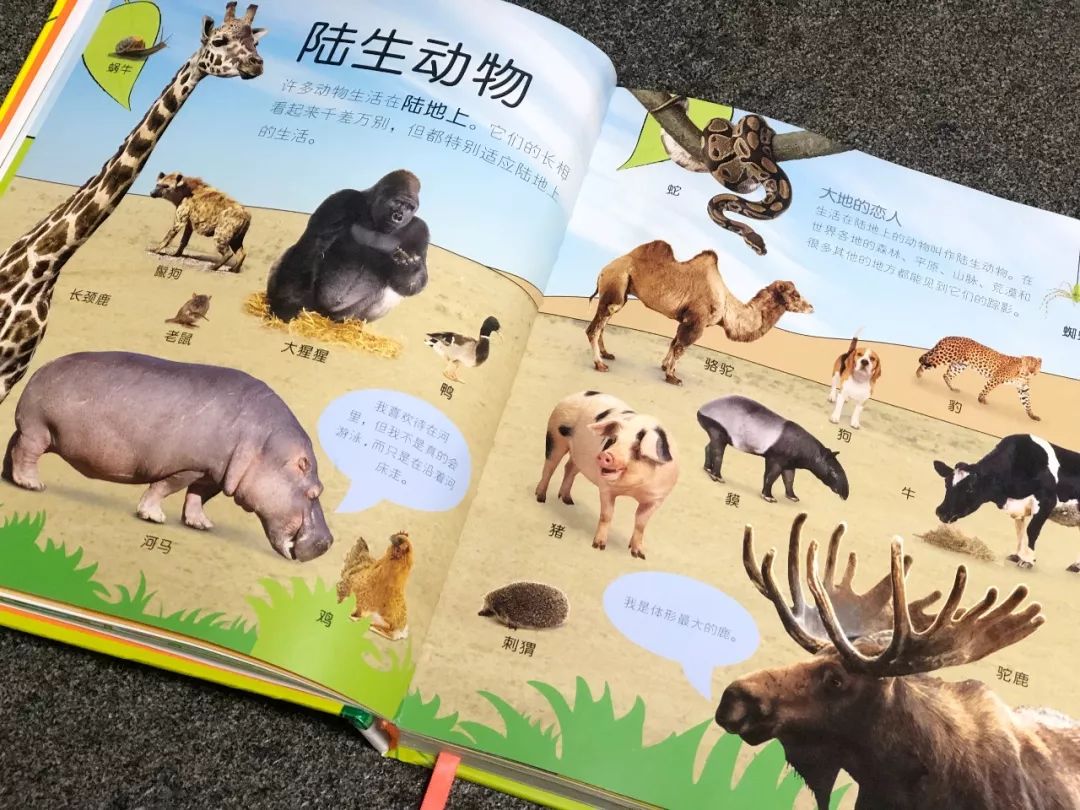 现在的孩子真是不知道怎么想的,现在的孩子真的是脑洞大开