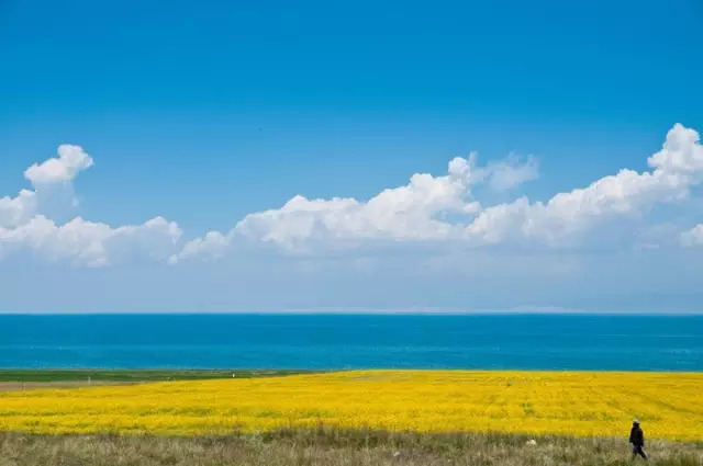 各地值得带的特产,国内哪些地方的土特产最好