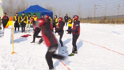 衡水：小雪球带来大乐趣