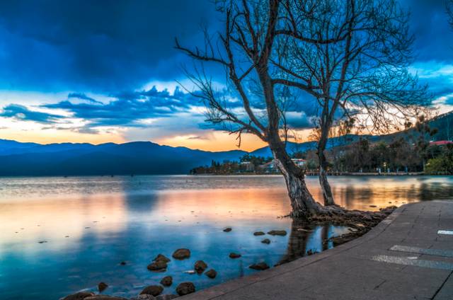 四川有座紫色小城，5月比美澳洲，比大理更多情