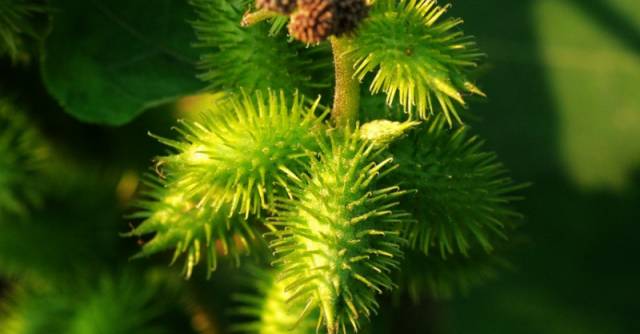 沛县人小时候偷偷干过的坏事,照片里有你吗?