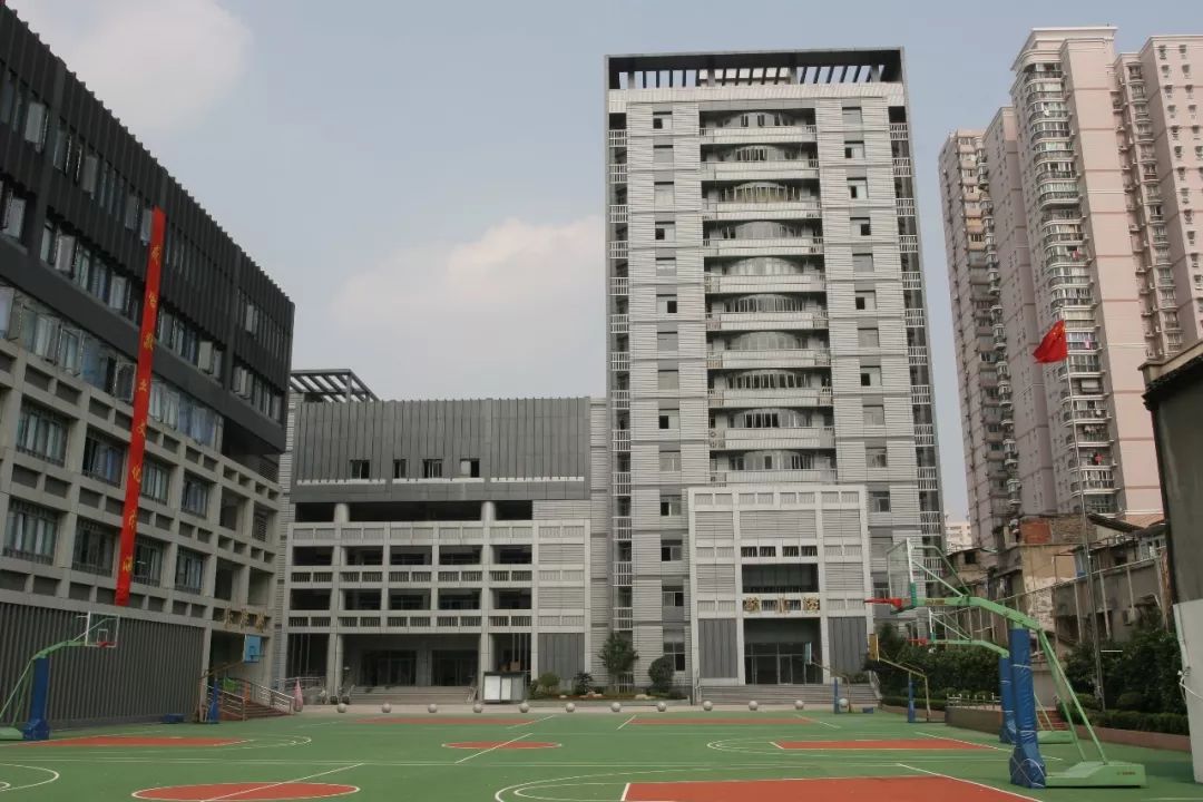 在学生心里播下一颗中医药的种子上海中医药大学中医药实践工作站