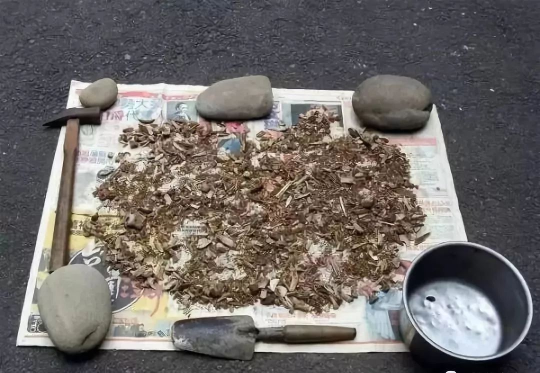 家里盆栽洋葱开花,洋葱盆栽开花