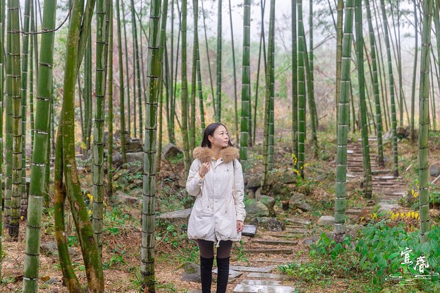 明月处处有，唯有宜春月最明