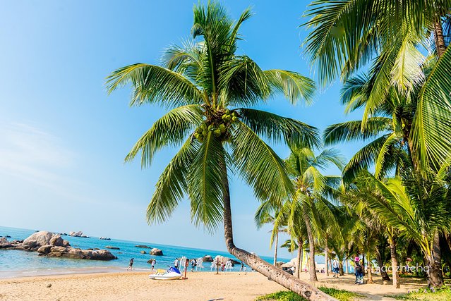 三亚五天四晚划算还是自由行划算,五天四晚三亚省钱攻略