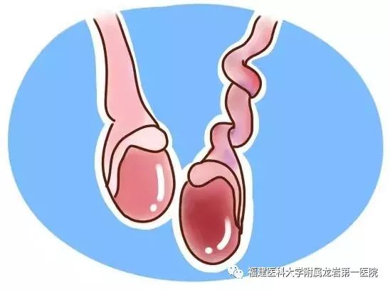 伤不起的“蛋蛋”：人间不值得，但你值得