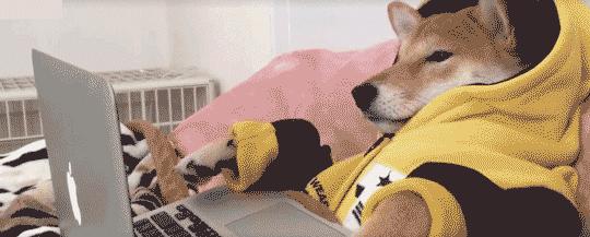 地表Zui强！暴雨蹦迪从不湿还巨暖和！比2个鸡蛋还轻，走8小时一点都不累