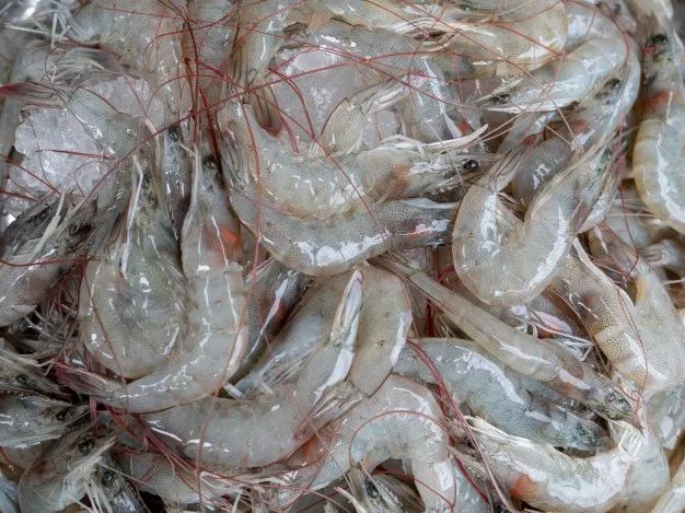 很大的海虾怎么做好吃,海虾干搭配什么炒好吃