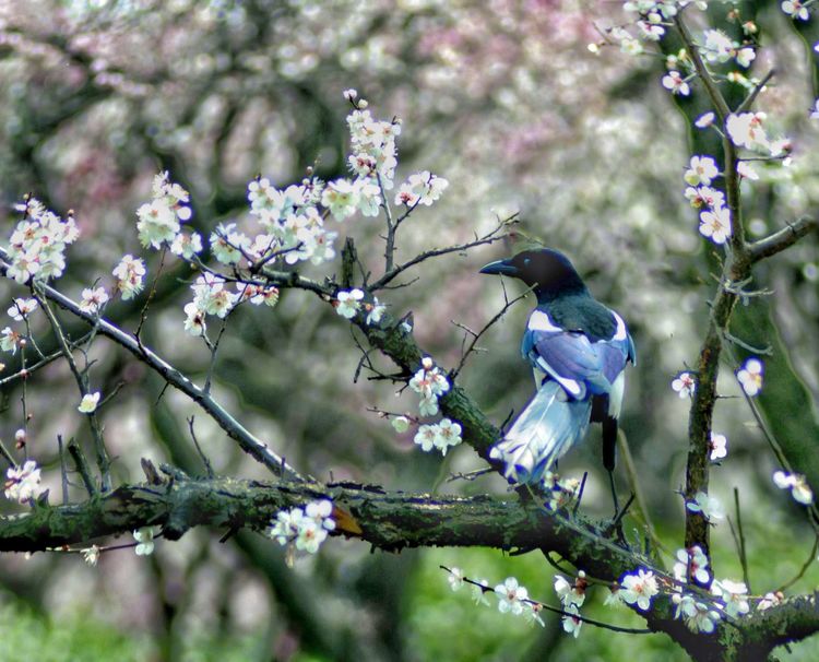 滨州摄影师葛珍君：记录风景和变化记录亲情和友谊