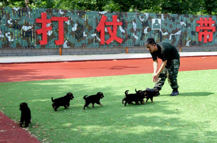 滨州摄影师葛珍君：记录风景和变化记录亲情和友谊