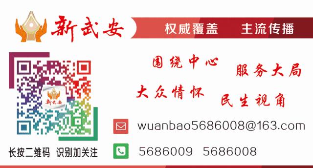 2024年武安市中小学足球赛,武安足球比赛