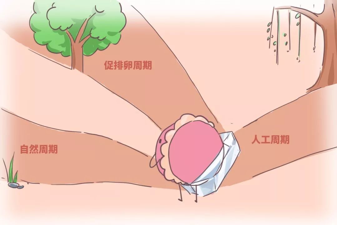 胚胎移植后一定要打黄体酮吗,胚胎移植后必须用阿司匹林吗