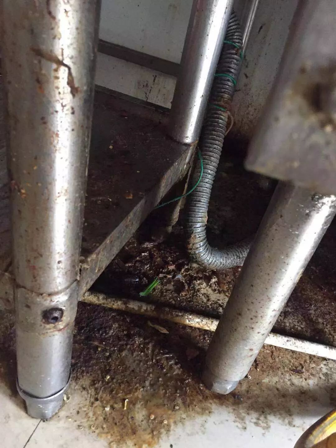 脏、乱、差，看了想吐！厦5家外卖被点名通报，80多家下架！有你常点的吗……