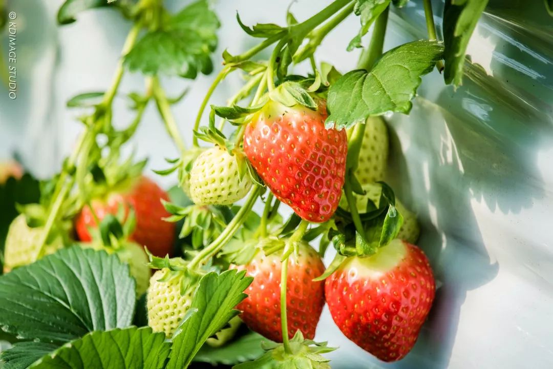 冬季韩国旅行,带你去看韩剧以外的生活!