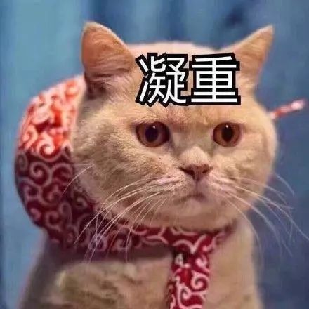 广西快递停运中通,今年广西快递物流停运时间