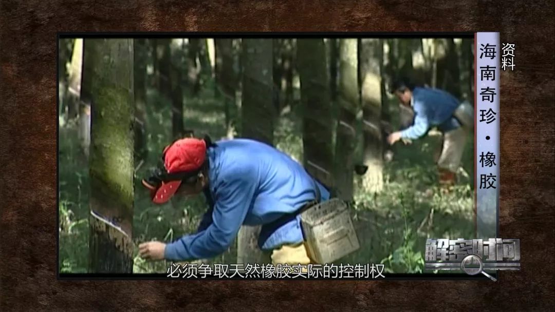 橡胶和石油的故事后续,海南橡胶和海南农垦的关系