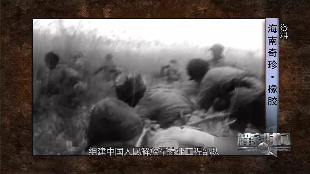 橡胶和石油的故事后续,海南橡胶和海南农垦的关系