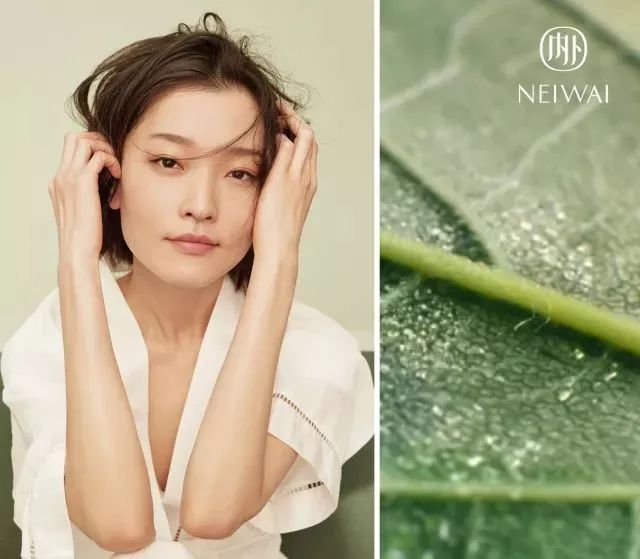 平胸内衣推荐购买拼多多,平胸适合的内衣店铺