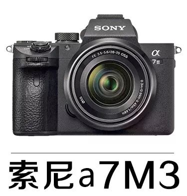 新手必须掌握的7个微距摄影技巧,光影留情谈微距拍摄技巧