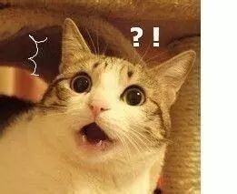 日本禁售的眼药水是哪个牌子,这几款日本网红眼药水被国外禁售