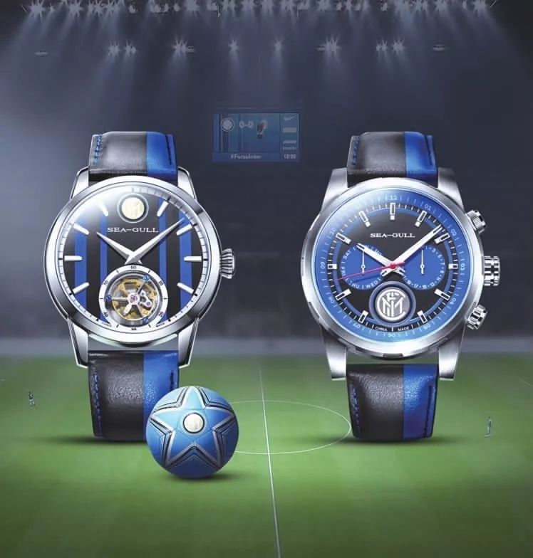 彩云飞处海鸥飞精彩片段,海面海鸥飞风景视频素材