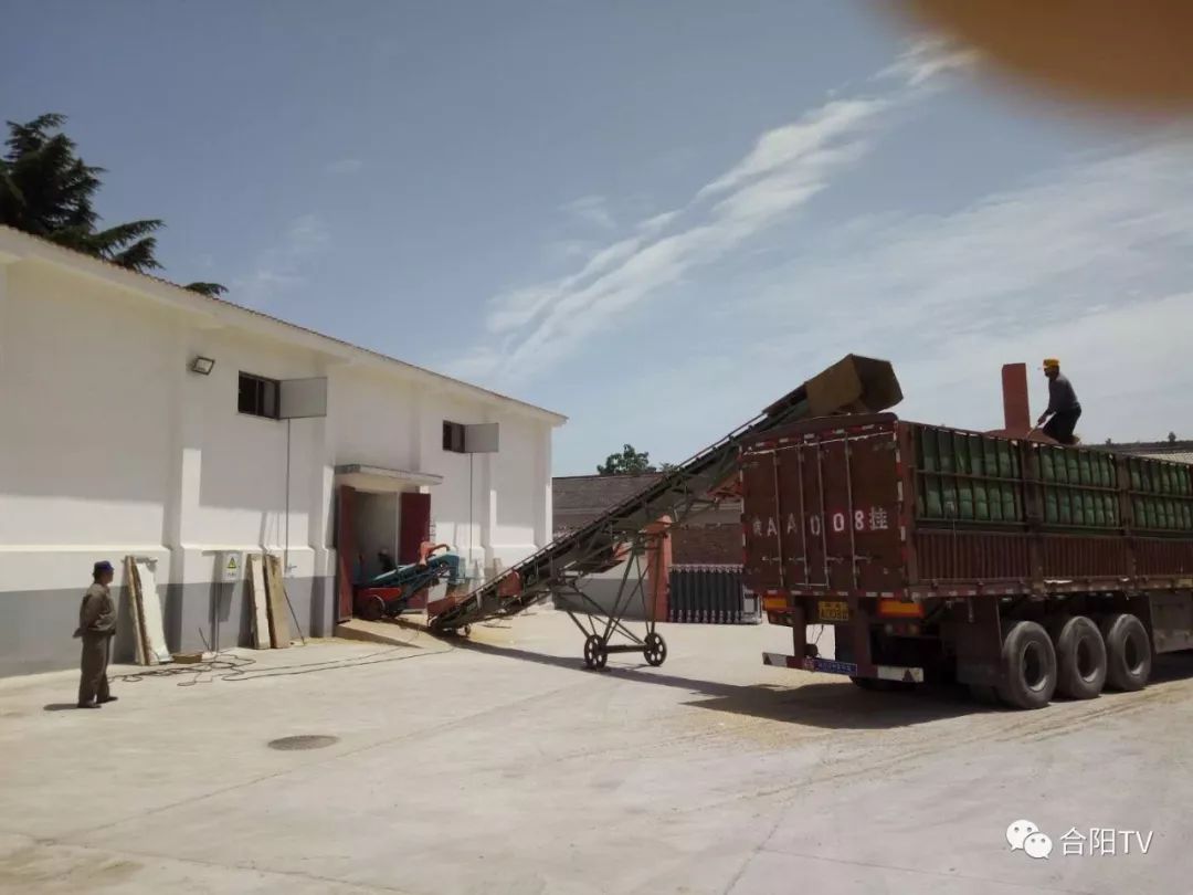 粮食和物资储备局2021年工作总结,粮食局主要工作任务