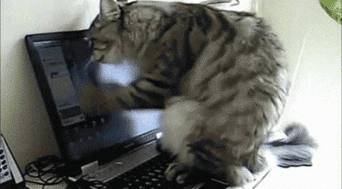 电脑显示屏垫高有用吗,你把办公室显示屏垫高了吗