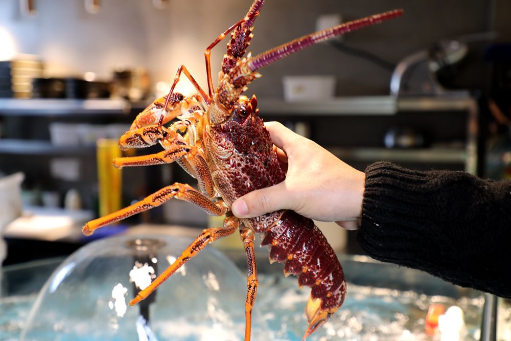 香港海鲜花胶鸡,香港花胶鸡推荐