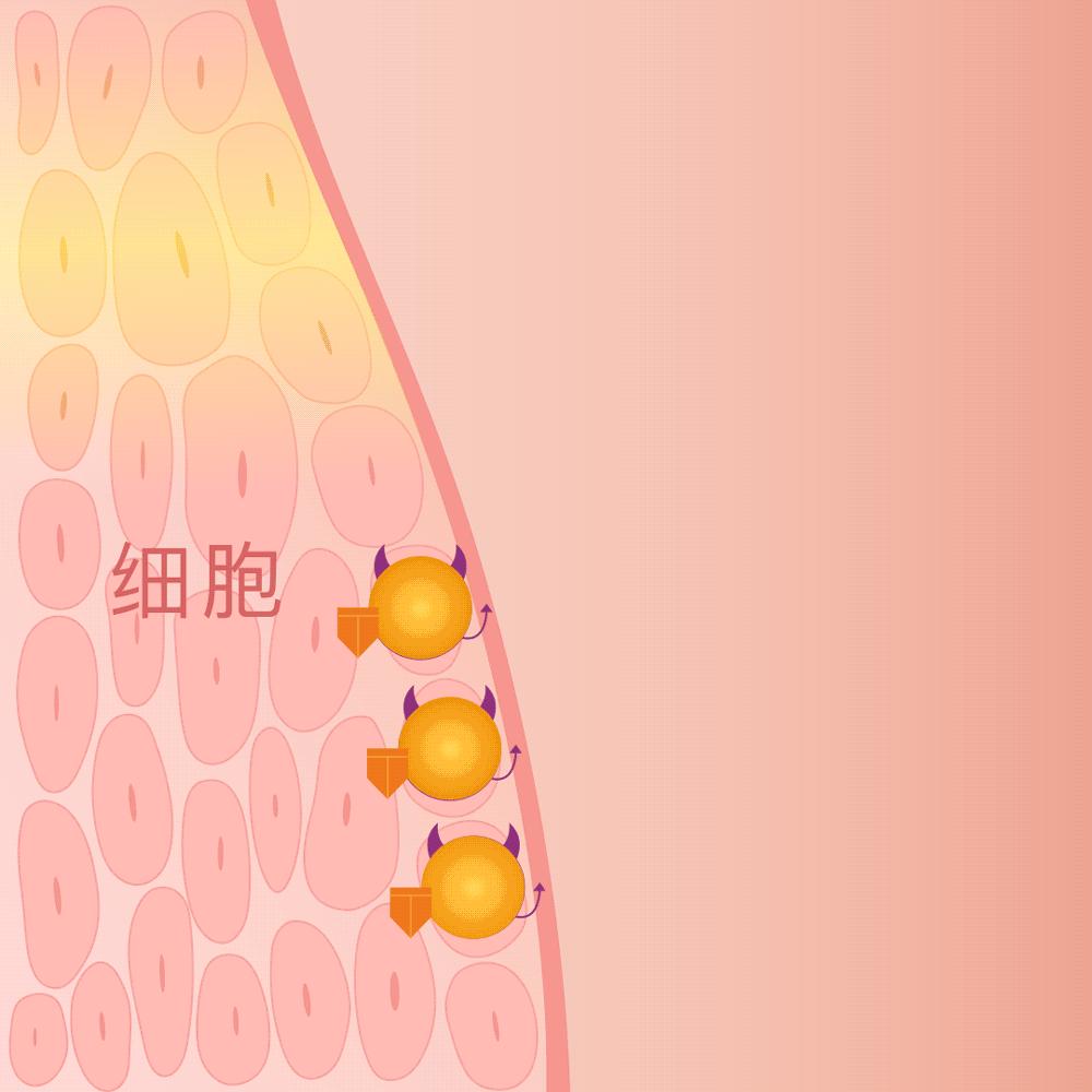除了运动还有什么好方法,抗氧化在护肤的哪一步